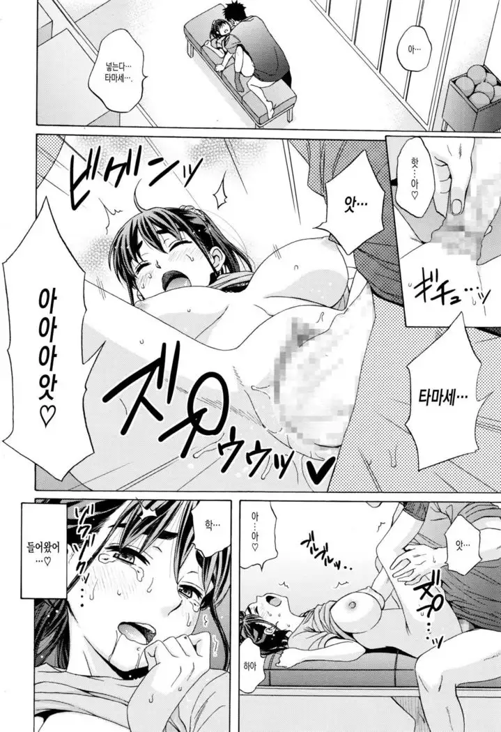 Kanzen Shiai - The Perfect Game