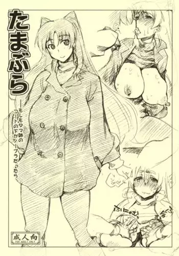 (C81) [Sago-Jou (Saura Isago)] Tamabura (ToHeart2)