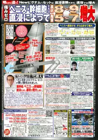 Manga Bangaichi 2013-09