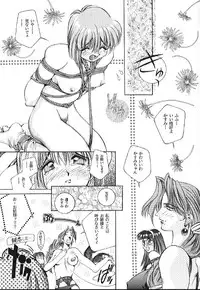 [PINK CAT'S GARDEN] SEXCEED Ver 4.1