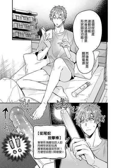 ouroboros dildos | 烏洛波洛斯的共鳴