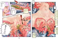 [NEO’GENTLE] Virginal MISA Kanzenban