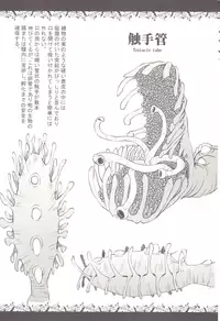 (COMITIA124) [Kamemushi (Kaminaru Fuyu)] Syokusyu Zukan