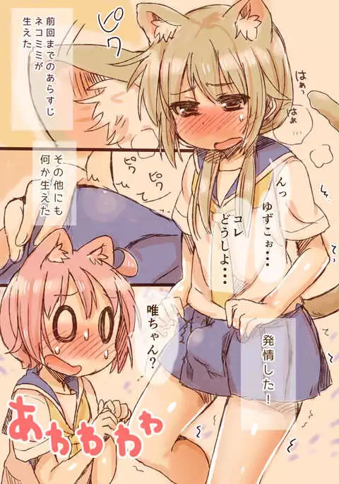 Nekomimi to Hatsujou to Suteki na Nanka