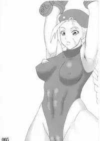 (C73) [POWERPLAY (Various)] Street Fighter XXX (Street Fighter)