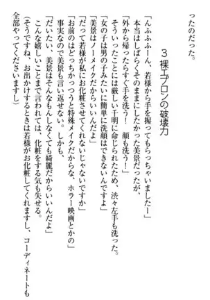 年上メイドの新婚日記