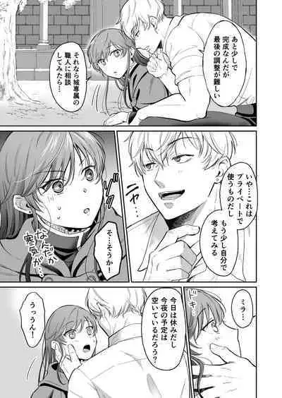 Saikyou Onna Kishi wa Shuuchaku-kei Otouto Ouji kara Nigerarenai! 2