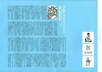 [Nishieda] Dendrobium