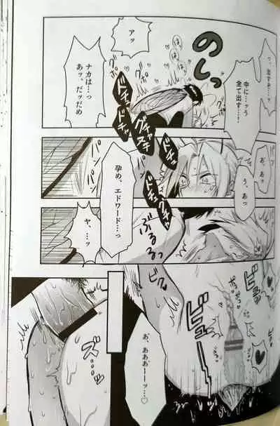 CherryTart (Anna Kotori) seiheki kōkangokko/itamen no o heya (Fullmetal Alchemist)