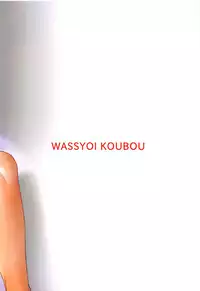 (C90) [Wasshoi Koubou (Hayami Sakura)] Youkai Shoujo no Aishikata. 4 (Touhou Project)