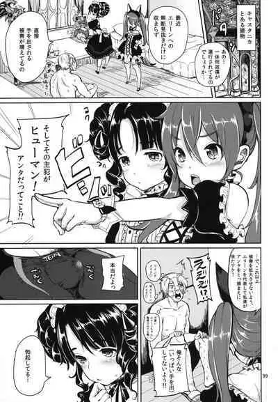 Elin Peropero Soushuuhen