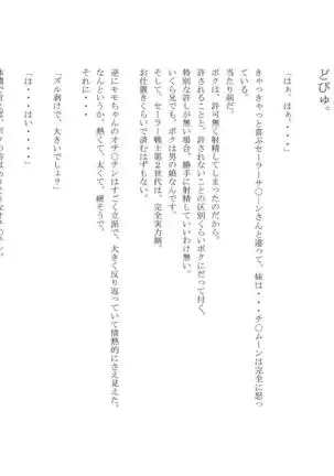 男の娘セーラー戦士W