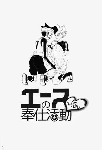 Ace no Houshi Katsudou