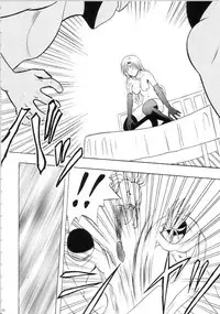 [Crimson Comics (Carmine)] Sephiria Hard Soushuuhen (Black Cat) [Chinese] [xyx1126个人汉化]