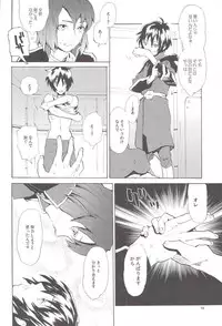 [NEO-de (Natsuzaka)] Tadashii Hito (Gundam Seed Destiny)