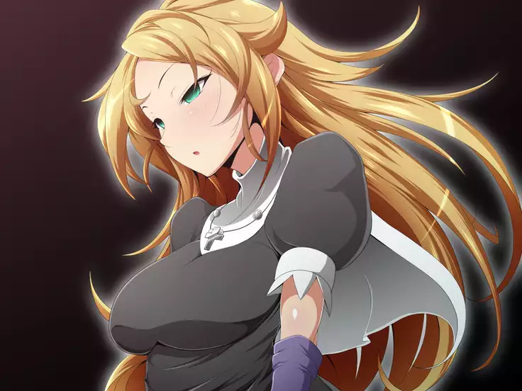 Hero Rengou Sennou Kanraku no Wana ~Battle Sister Hen~