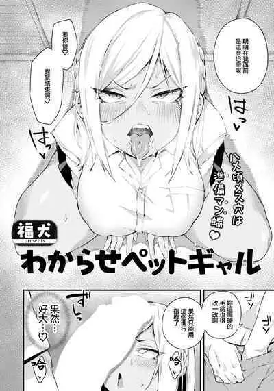 Wakarase Pet Gal