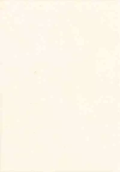 Kirisame Roman Porno