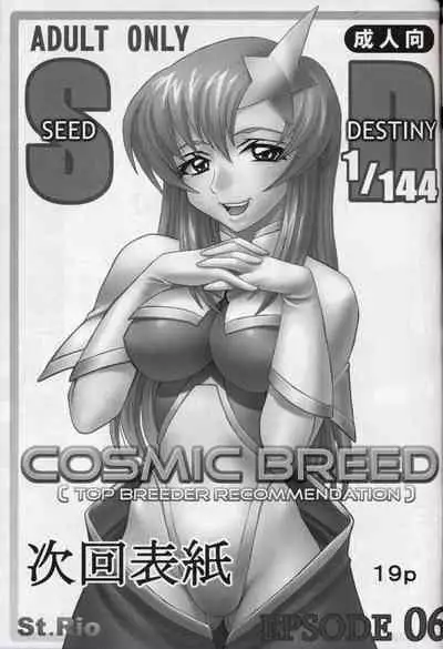 [St. Rio (Kitty, Kouenji Rei)] COSMIC BREED 5 (Gundam SEED DESTINY) [Chinese] [零食汉化组]