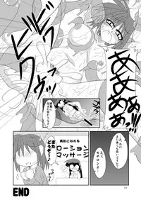 [Nihon Shokushu Shinkou Kyoukai] GaSSyoku 2