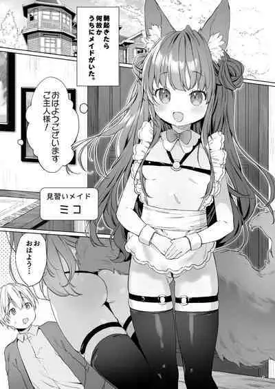 Sexy Maid Hiroimashita