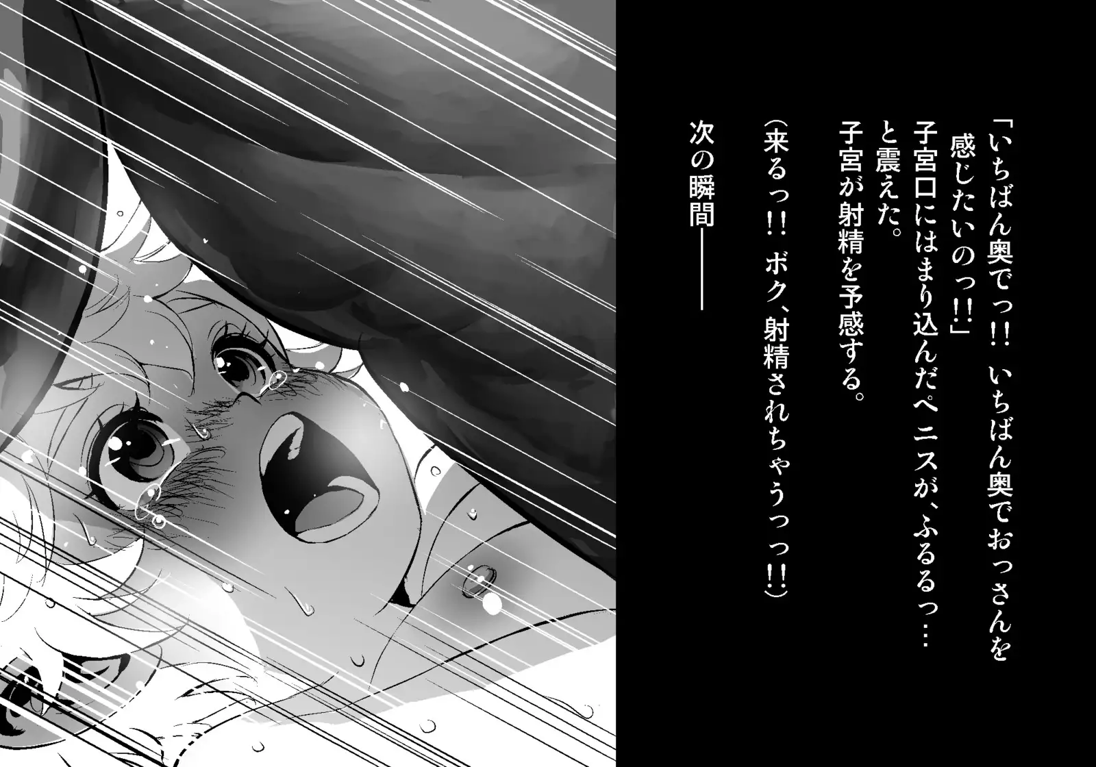 フェアリーセティ