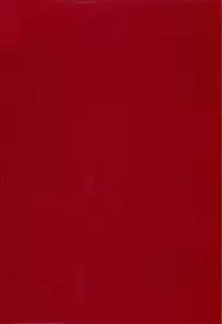 (SC15) [KuruGuru DNA (Various)] Zenda Shiro no Toriko (Digimon Adventure 02)