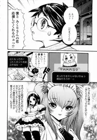 [Mita Ryuusuke] Rose Rosse