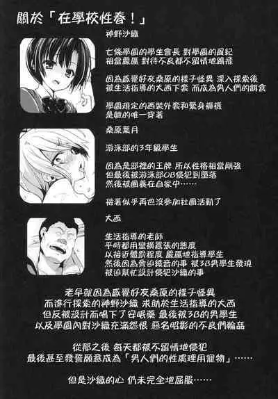 Gakkou de Seishun! Kamino Saori Collection 12~19