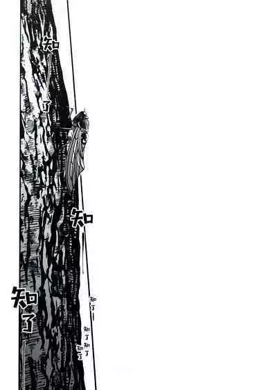 Ruru Toshite |娓娓道来