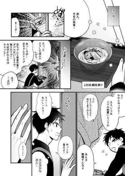 Ore mo Otouto mo Hentai ja Nai! Koto mo Nai!!