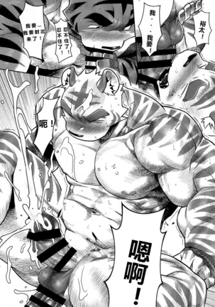 【Mitsuru Building(wasp)】【违禁品】Things They Cannot Bring On Board 【chinese】【Digtal】