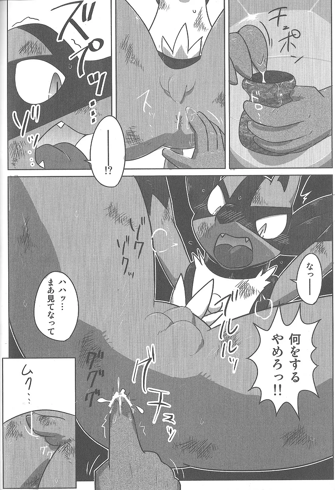 LUCARIO IJIME ANTHOLOGY