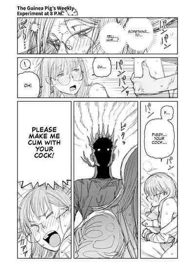 The Guinea Pig's Weekly Experiment at 8 P.M.