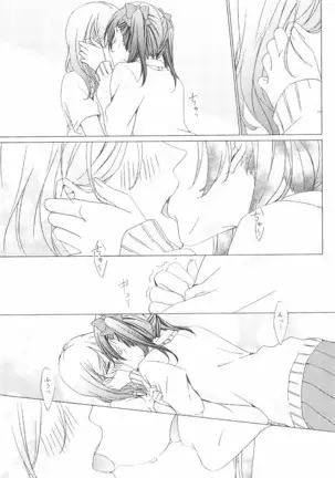 ペトリの朝に花束を