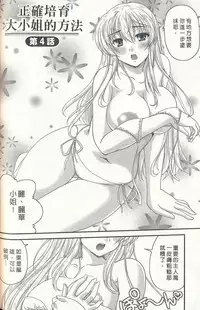 [Nanami Shizuka] Tadashii Reijou no Sodatekata [Chinese]