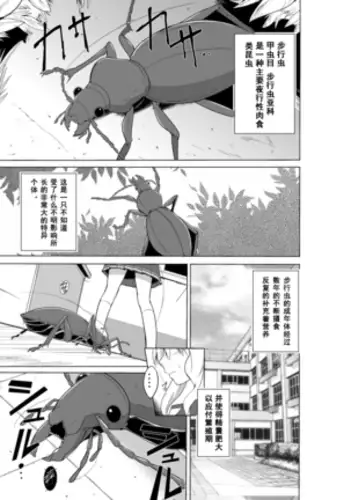 Sasara no Mushiasobi (Chinese translation)
