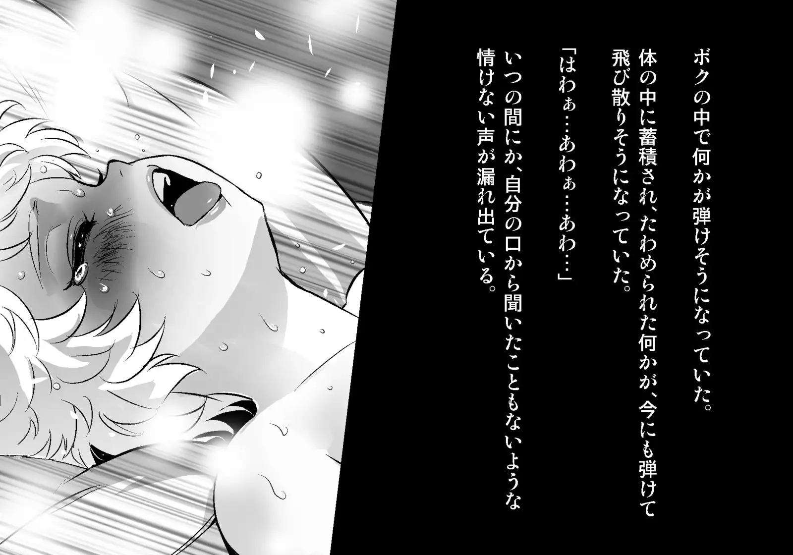 フェアリーセティ