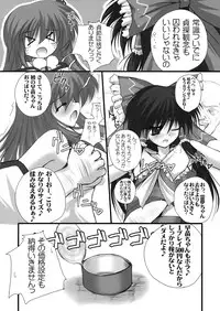 (SC44) [Danshaku Ryou (Danshaku)] Renkoin Kinshi. (Touhou Project)