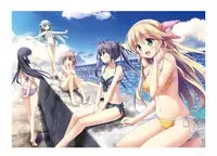 2019 CUFFS Story's VFB