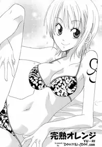 (C68) [Kurione-sha (YU-RI)] Kanjuku Orange (One Piece)