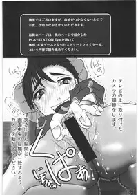 (C73) [POWERPLAY (Various)] Street Fighter XXX (Street Fighter)