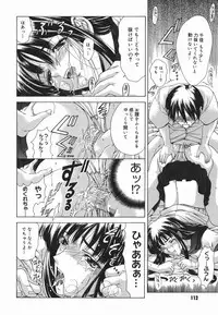 [Shinonome Maki] Amrita