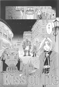 (CT4) [Mulberry (Bakkon Tamago, Maririn Anaka)] Cats on Maes 2 (Fullmetal Alchemist)