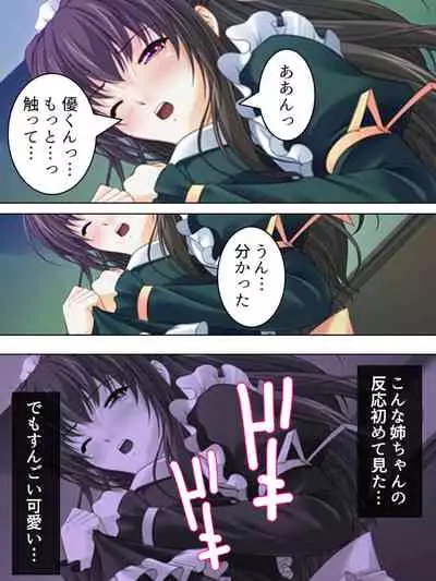 Nee-chan wa Boku no Kokan no Sewagakari ～Konna Seikatsu, Yamerarenai!～