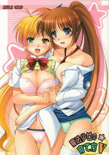 (C77) [K-Drive (Narutaki Shin)] Mahou Shoujo no Sodatekata V (Mahou Shoujo Lyrical Nanoha)