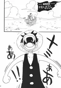 [Ginmomodou (Mita Satomi)] Koukai Nisshi DX (One Piece)