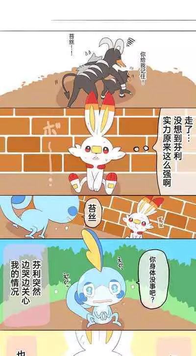 |宝可梦的故事(呜鸟木个人汉化组)