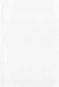 [Chakura Kazuhiko] White Delta Zone