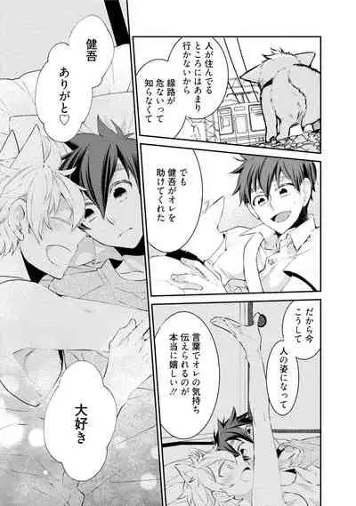 Wolves and Erotic Things